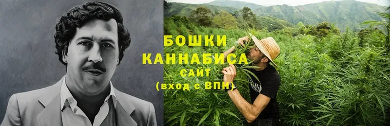 Шишки марихуана Bruce Banner  Пролетарск 